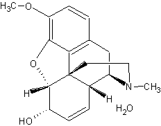 ������� ����������