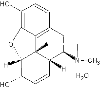 ������� ����������